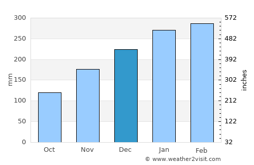 Manaus average rain in December