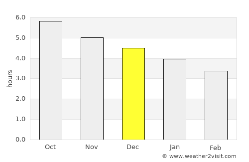 Manaus average rain in December