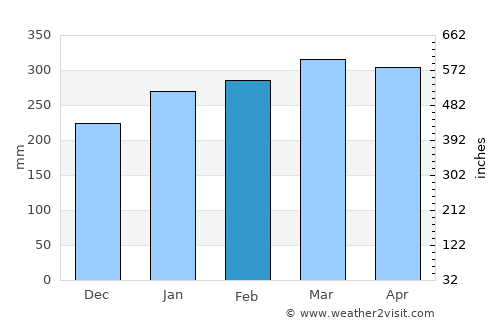 Manaus average rain in February