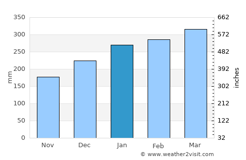 Manaus average rain in January
