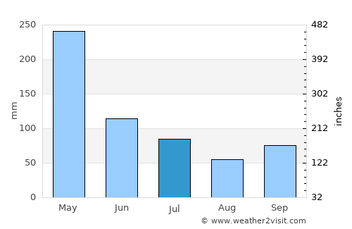 Manaus average rain in July
