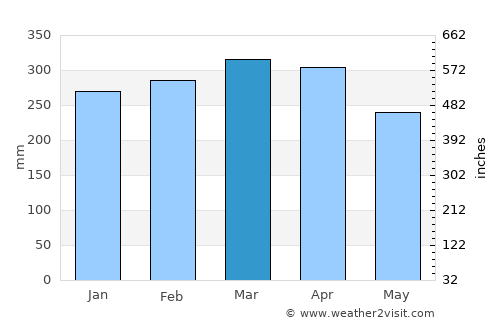 Manaus average rain in March