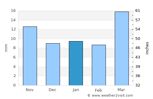 Mandan average rain in January