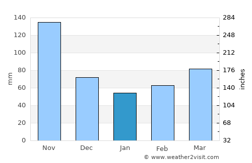 Mandeville average rain in January