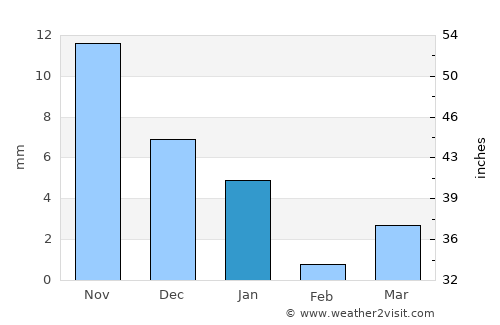Māndleshwar average rain in January