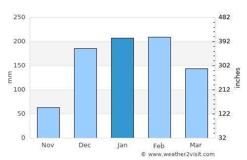 Mangochi average rain in January