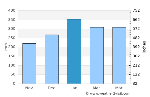 Manicoré average rain in January