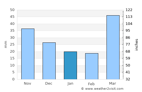 Mankato average rain in January