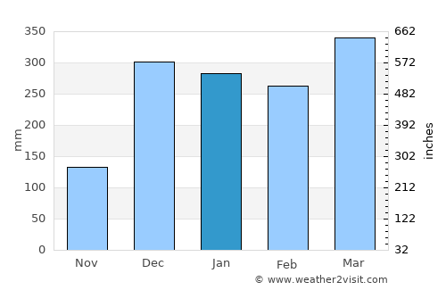 Manokwari average rain in January