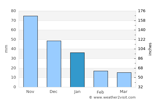 Manto average rain in January