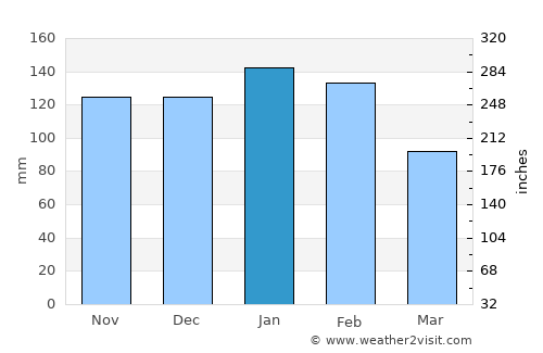 Manzini average rain in January