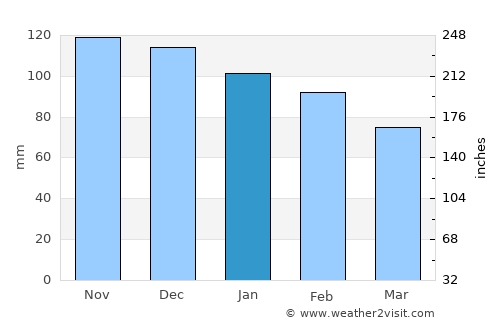 Marbella average rain in January
