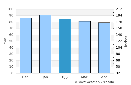 Mardin average rain in February