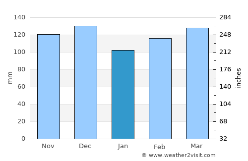 Marianna average rain in January