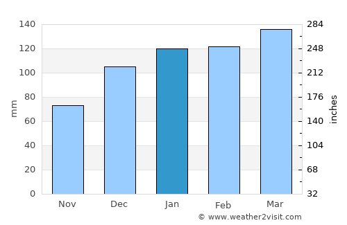 Marianna average rain in January