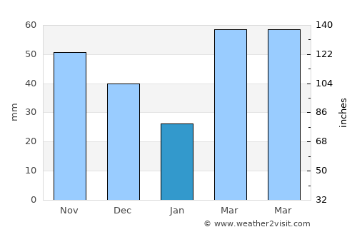 Marion average rain in January