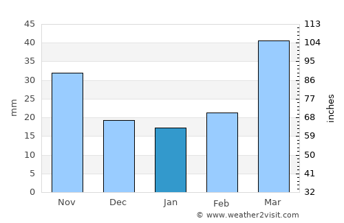 Marshall average rain in January