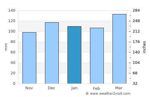 Maryville average rain in January