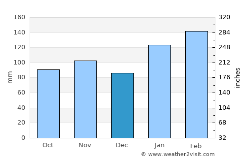Mascot average rain in December
