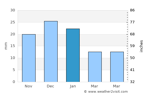 Mascota average rain in January