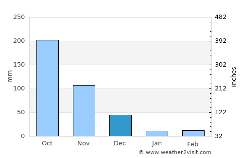 Masinigudi average rain in December