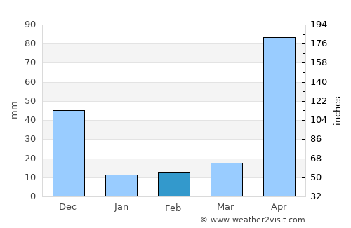 Masinigudi average rain in February