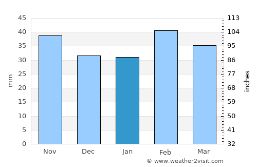 Mason average rain in January