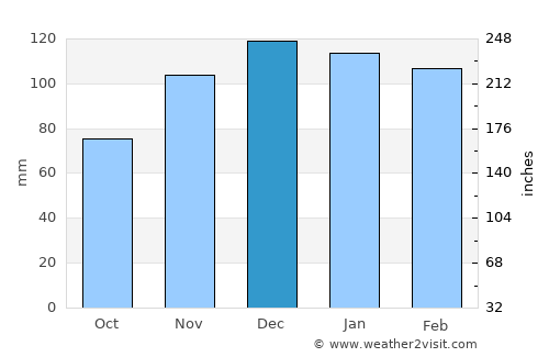 Maynardville average rain in December