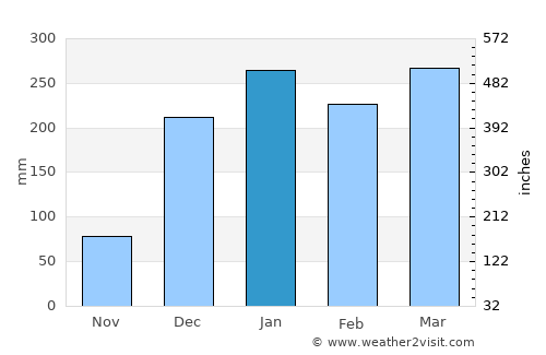 Mbinga average rain in January
