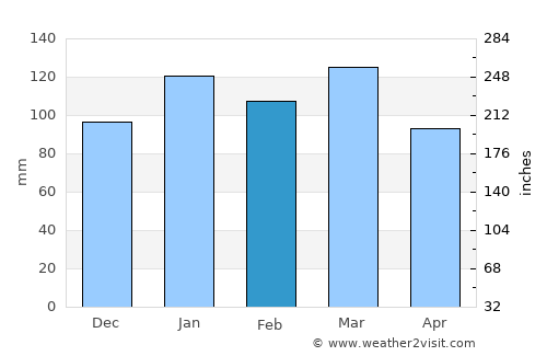 McCormick average rain in February