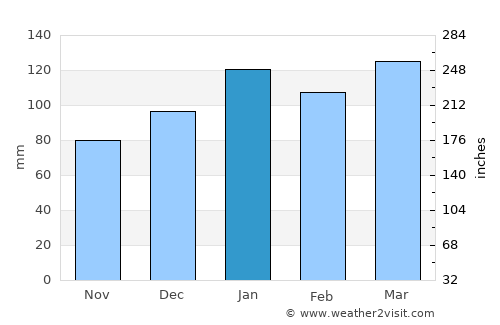 McCormick average rain in January