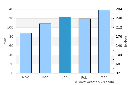 McDonough average rain in January