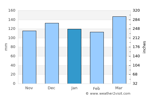 McMinnville average rain in January