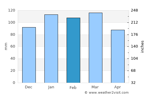 McRae average rain in February