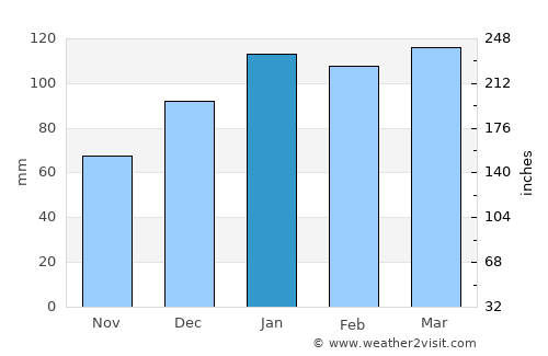 McRae average rain in January