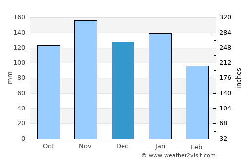 Medeiros Neto average rain in December