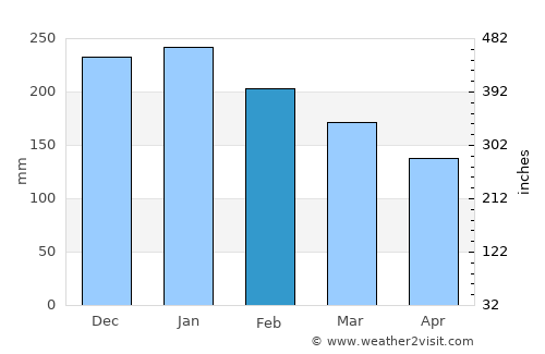 Medina average rain in February