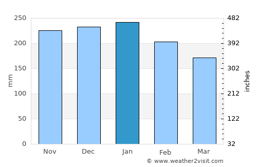 Medina average rain in January