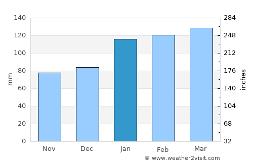 Medowie average rain in January