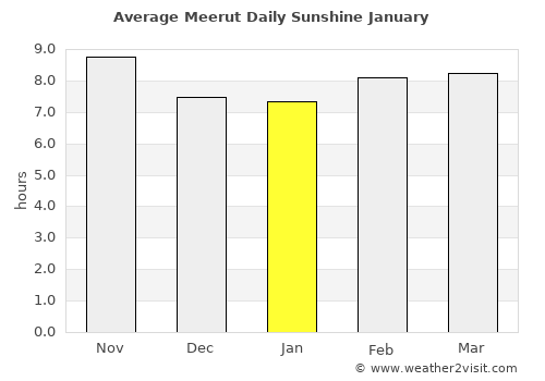 Meerut average rain in January