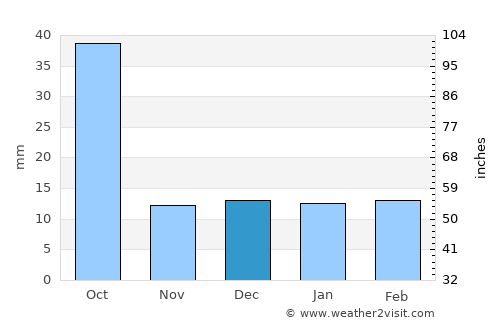 Melchor Múzquiz average rain in December