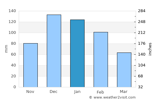 Mercin average rain in January
