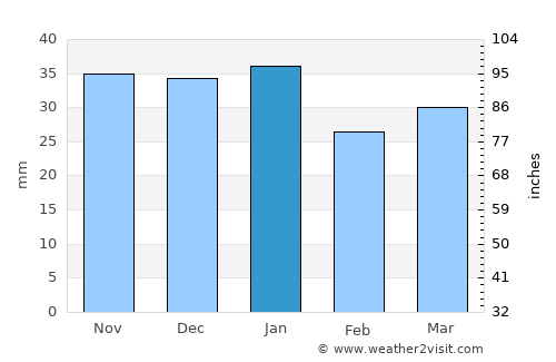 Meridian average rain in January