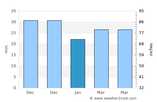 Mesa average rain in January