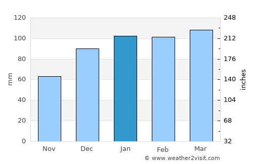 Metter average rain in January