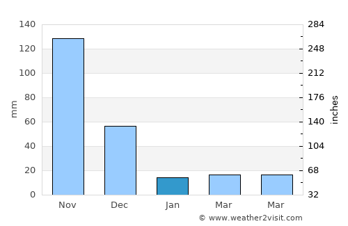 Mettupalayam average rain in January