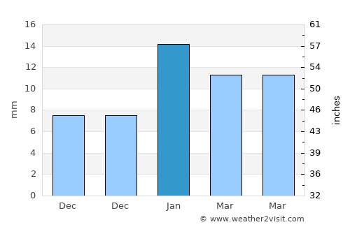 Mexicaltzingo average rain in January