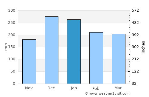 Miguel Pereira average rain in January