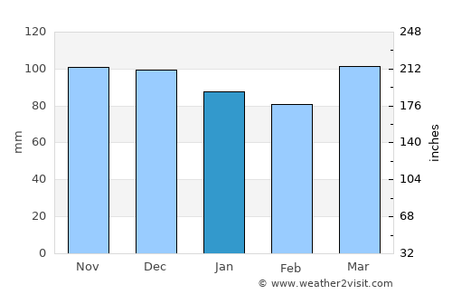 Mineola average rain in January