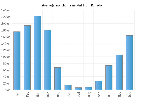 Mirador monthly rainfall chart (mm)